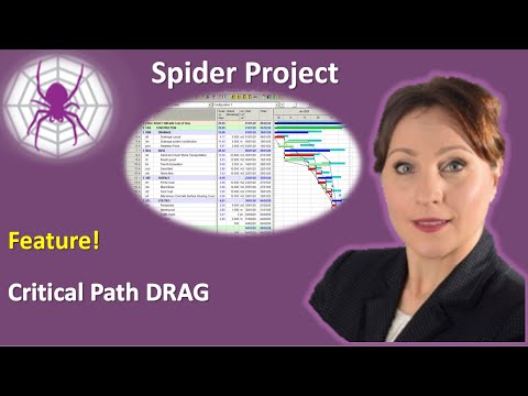Spider Project Feature - Critical Path DRAG