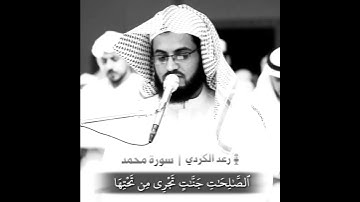ذَٰلِكَ بِأَنَّ ٱللَّهَ مَوْلَى ٱلَّذِينَ ءَامَنُوا۟.. سورة محمد /القارئ رعد الكردي