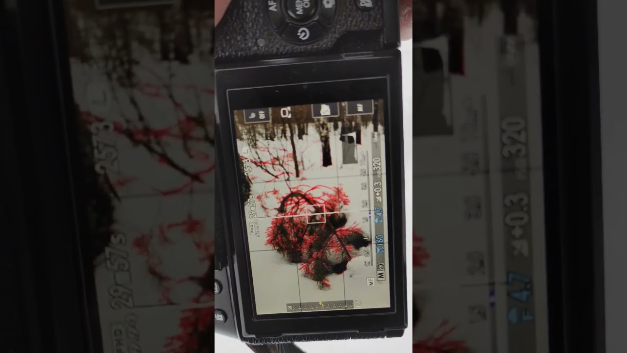 winter landscape shots. fujifilm xt100 