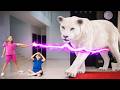 キッズ向け！野生の動物たちとの大冒険！ 🦁🐘✨