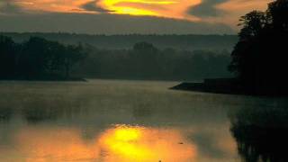 تلاوة موثرة من سورة المنافقون الشيخ تركي الرميحي 