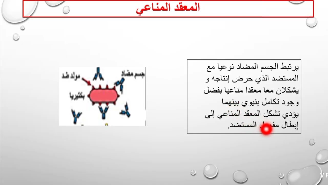 ملخص المناعة بكالوريا الجزء الثاني الاستجابة الخلطية