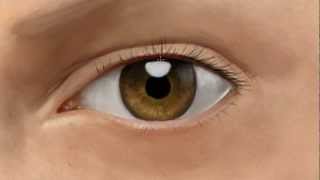 eye digital painting realistic photoshop