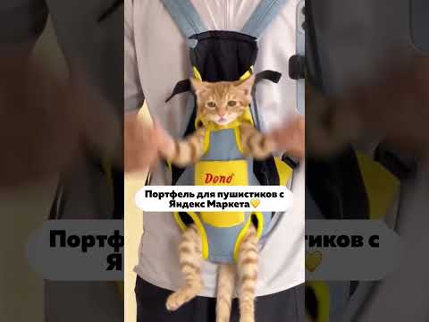 Артикул Яндекс Маркет: YM10106312 (не забудь при поиске YM!) #яндекс #yandex