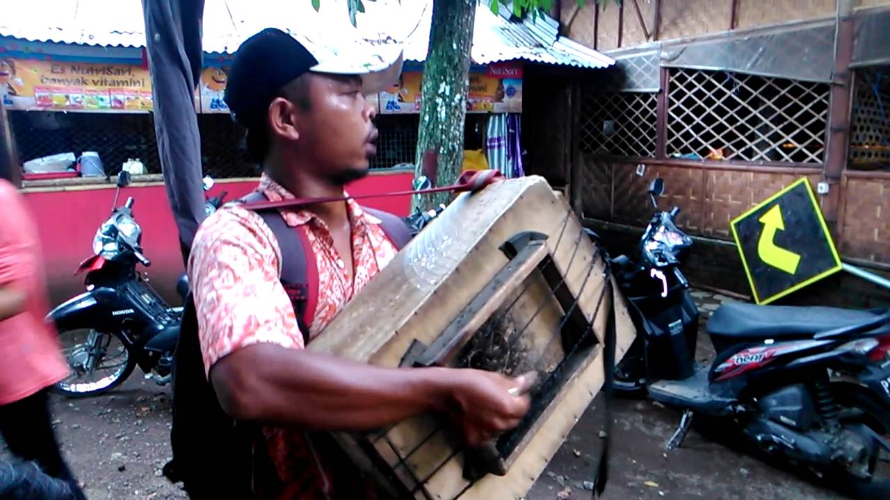 Pengamen Lucu Madura Warung Nyonyor YouTube