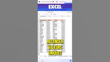 STOP aux doublons ! Obtenez des valeurs uniques sur Excel