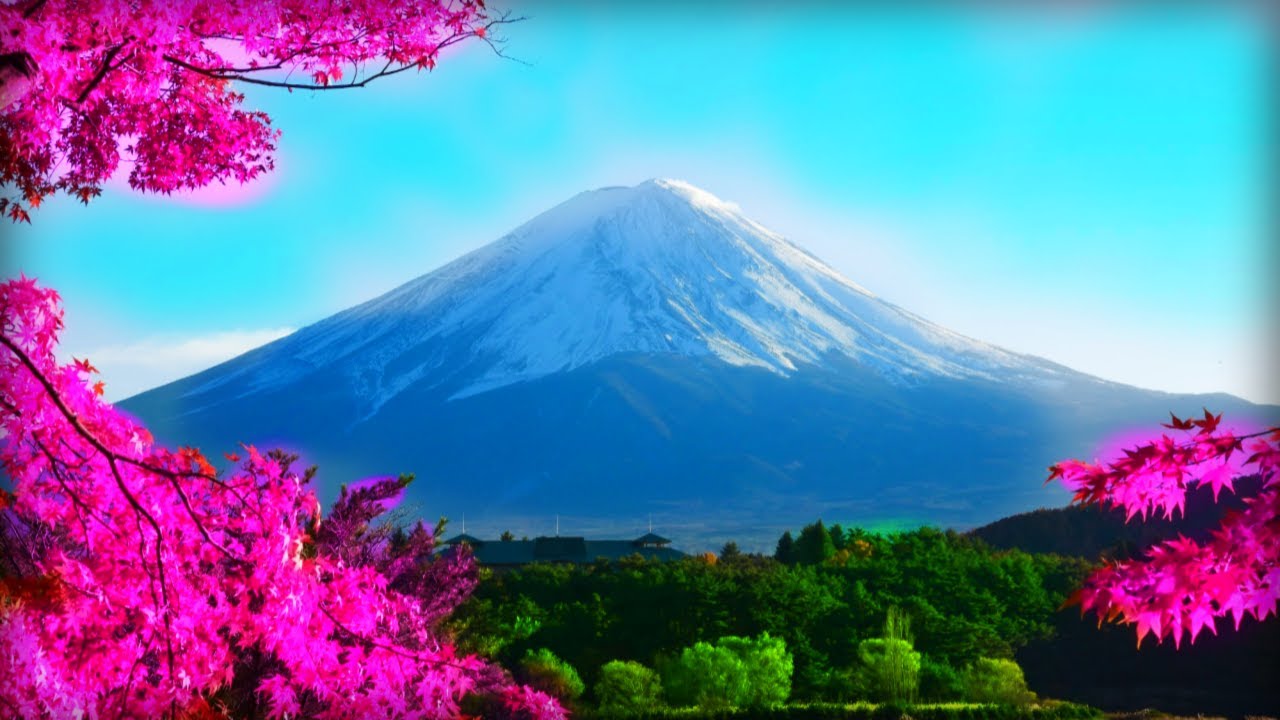 528Hz Reiki Music for Self Healing     Negativity Cleanse   Angelic Meditation   Spiritual Harmony