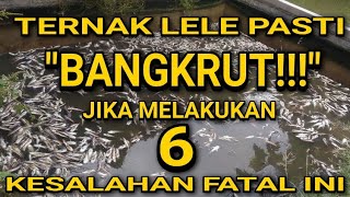 6 KESALAHAN PETERNAK LELE | PENYEBAB PERTUMBUAN LELE JADI LAMBAT