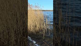 Zadziwiające jak oszczerstwa wobec uczniów Jezusa Jego Kościoła są ciągle aktualne. Dz 6, 8-15