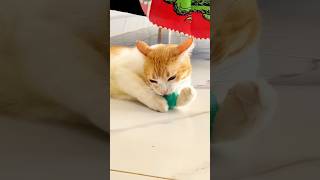 Hopping On That Crazy Train Like