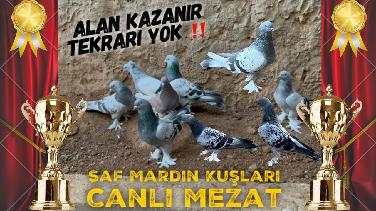 🏆 Şampiyonlar Ligi Canlı Oyunkuşu Mezatı Emin Yahşi Canlı Mezat ‼️ #