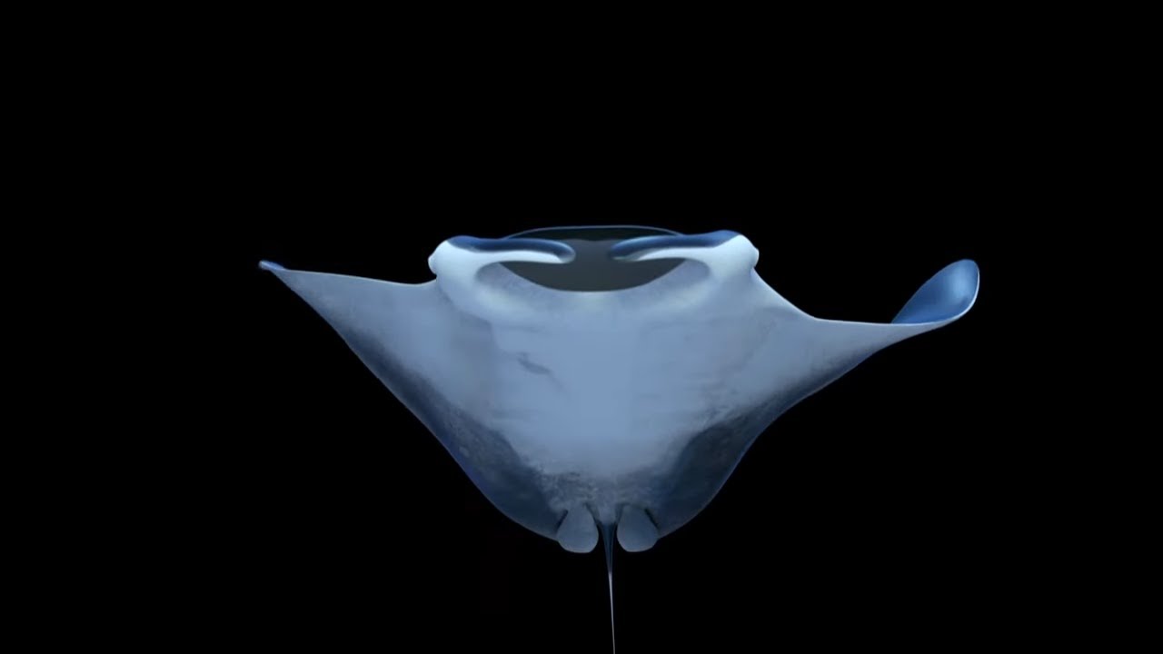 If Apple's "Crazy Ones/Think Different" Commercial Was About Nature-Inspired Innovation