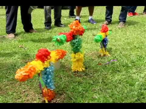 FIESTA DE SAN ANTONIO NEGRO HNOS. GUILLEN, YAMASA 2019 camera iphone 8 plus apk