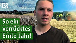 Dürre und Dauerregen: Wie war das Jahr für Kartoffeln und Getreide? | Ernte 2023 | Unser Land | BR