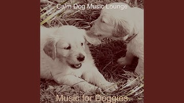 Pulsating Ambience for Relaxing Dogs