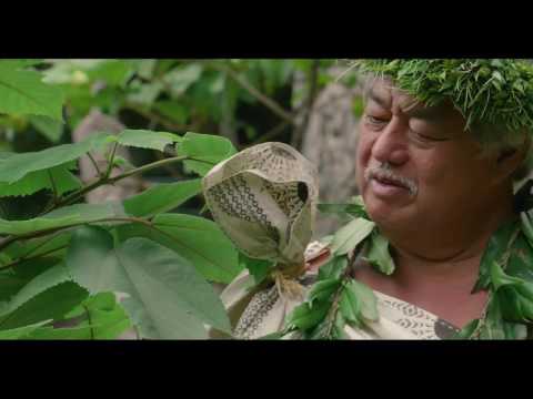 George Kahumoku Jr.
