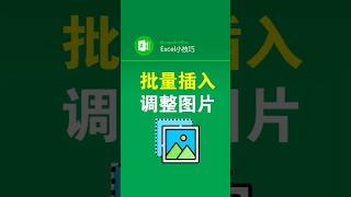 批量插入大量图片，批量调大小 #office办公技巧 #表格 #插入图片 #excel #wps