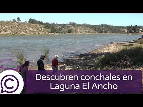 Descubren conchales en el humedal laguna El Ancho de Pichilemu