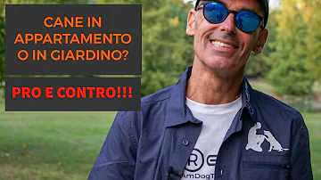 Come tenere il cane in condominio?