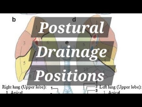 Postural Drainage Positions according to different Bronchopulmonary ...