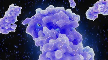 Heat shock response regulates proinflammatory NF κB signaling in cancer cells