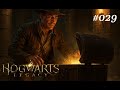 🪄 Sidequesting for gains🪄 | Hogwarts Legacy (Playthrough) #029