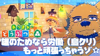 【あつまれ どうぶつの森】こんだけ島おこし頑張ったらガチムチ住民にプロポーズされるんじゃね？今宵も島クリしまくり♡ #13【ケモV】