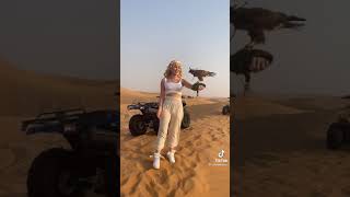 Selin Odabaş Yeni Tiktok Videosu