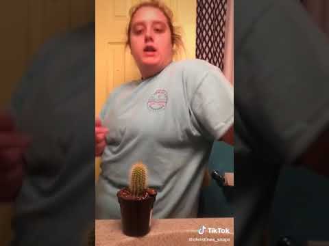 Tik tok. .........
