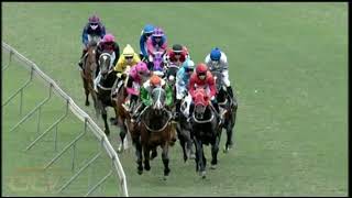 Vidéo de la course PMU PRIX WSB R10 000 1ST DEPOSIT MATCH MAIDEN PLATE