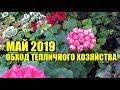 Что сегодня растет? Май 2019. Обход.