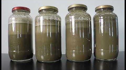 Time-lapse video of soils settling in quart jars