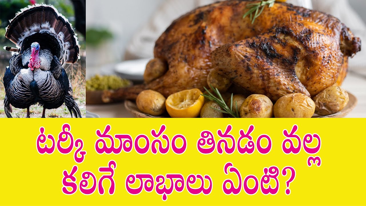 టర్కీ మాంసం తినడం వల్ల కలిగే లాభాలు ఏంటి? Benefits of Eating Turkey