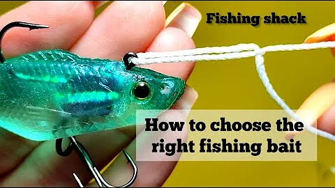 How To Fish Crankbaits and Types of Crankbaits - Underwater Fishing Lures & Crankbait Tips