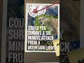 Could you survive a mountain lion attack shorts