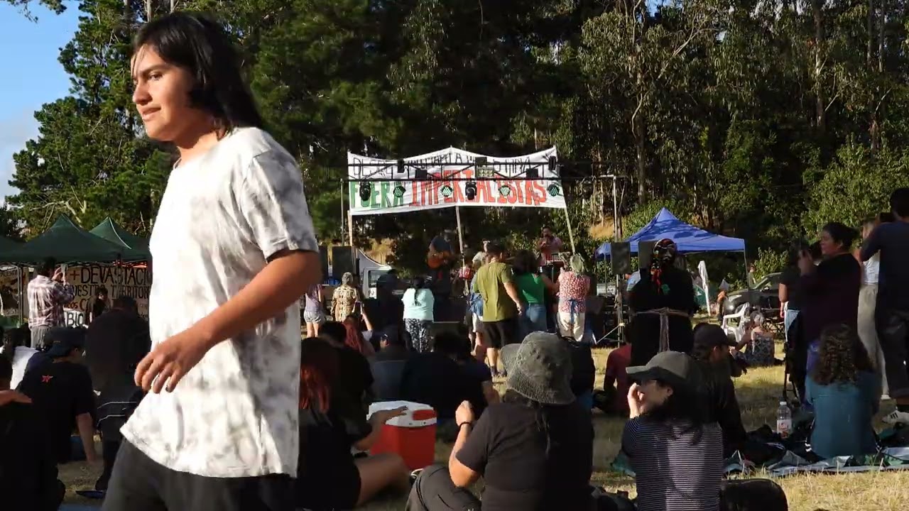 Lleu Lleu febrero 2026