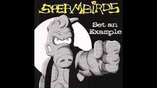 Watch Spermbirds All Those Memories video