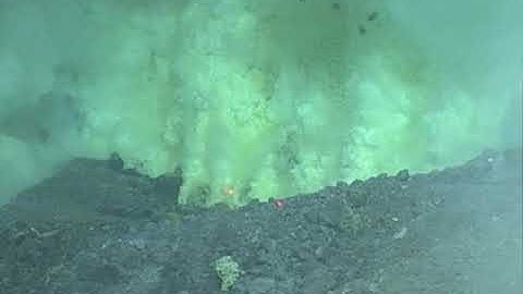 Mariana SRoF 2006 NW Rota-1 Brimstone #8