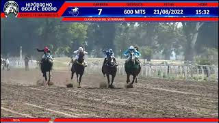 CARRERA 7 21 AGOSTO 2022 Premio Clásico Día del Veterinario SHADES OF MYSTIC