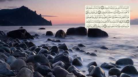 323-page سعد الغامدي - -سورة الأنبياء Les prophètes (Al-Anbiya)-21