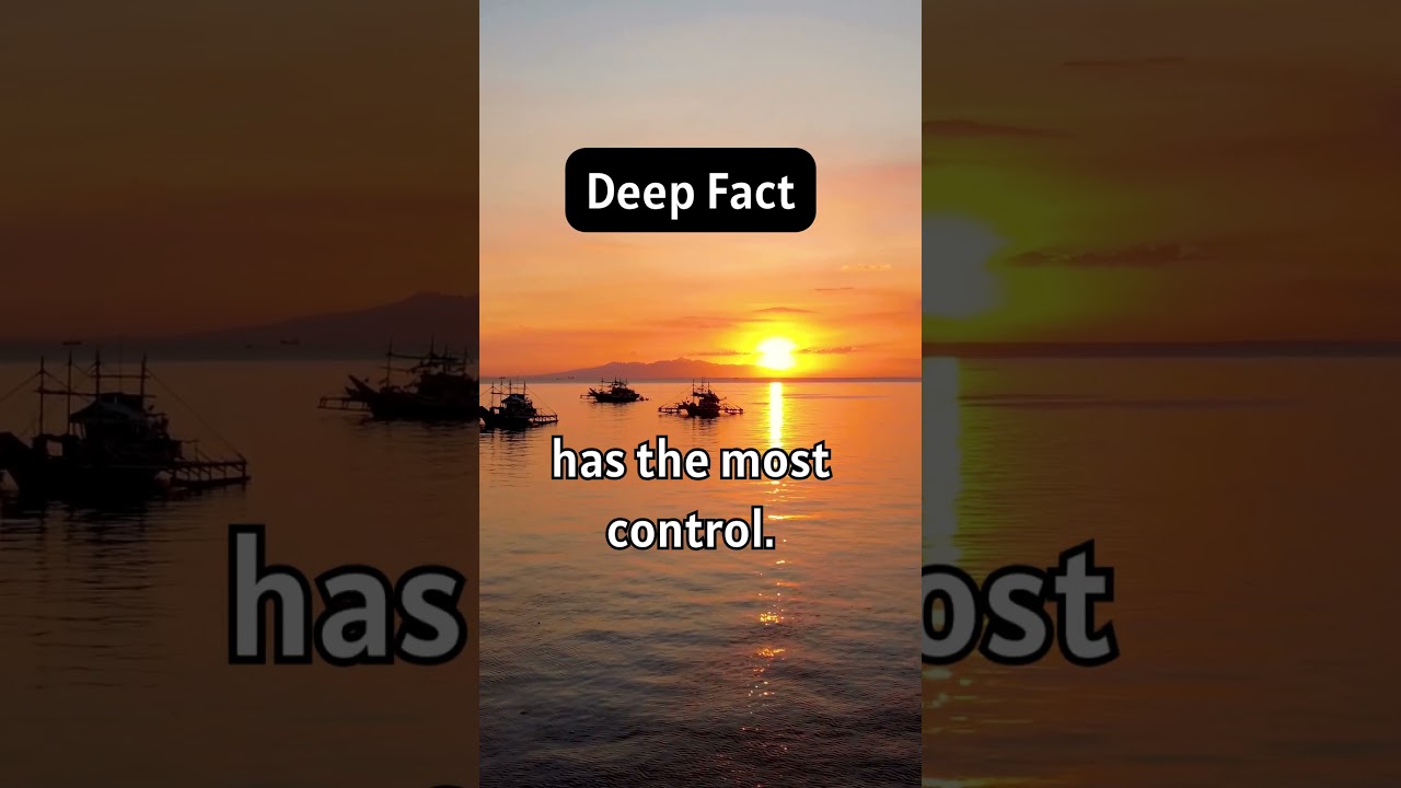 💪 Insights Into Men: Male Facts You Should Know