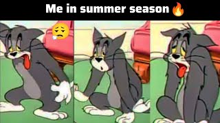 Me in Summer vs Winter Season meme ...