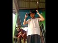 Zaki Putra Wibowo 🐴🐎 PixVerse