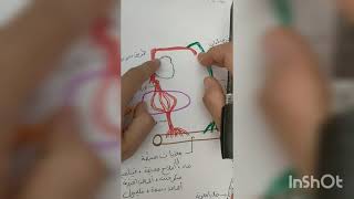 مراجعة شاملة لدرس الامتصاص المعوي و انتقال المغذيات و استعمالها..سنة رابعة متوسط
