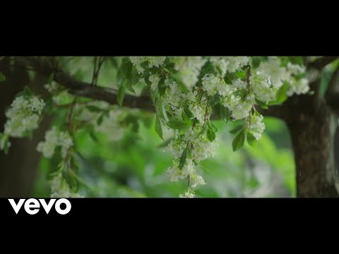 林彦俊, 万鹏 - 《原来我很爱你》影视原声带