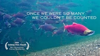 The Breach Trailer 2014