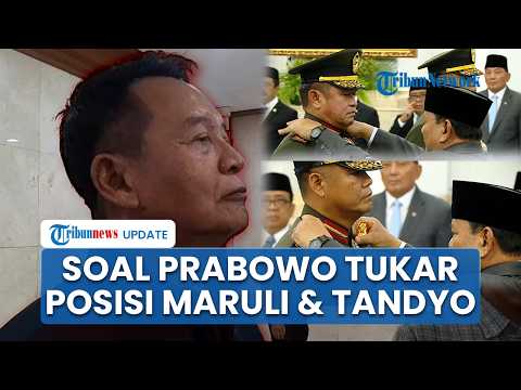Respons TB Hasanuddin Usai Presiden Prabowo Tukar Posisi Maruli Simanjuntak dan Tandyo Budi Revita