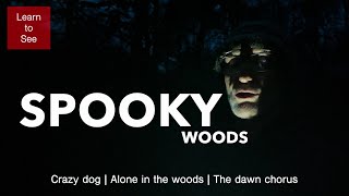 A Crazy Dog, Spooky Woods at Night and the Dawn Chorus | Nature Photography