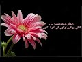 #islamicstatus #motivationalvideo #naatsharif #lifeisbutadream