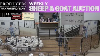 3/4/2025 - Sheep & Goat Auction - Producers Livestock Auction Company